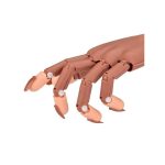 MÃO DE TREINO ARTICULADA COM 100PCS