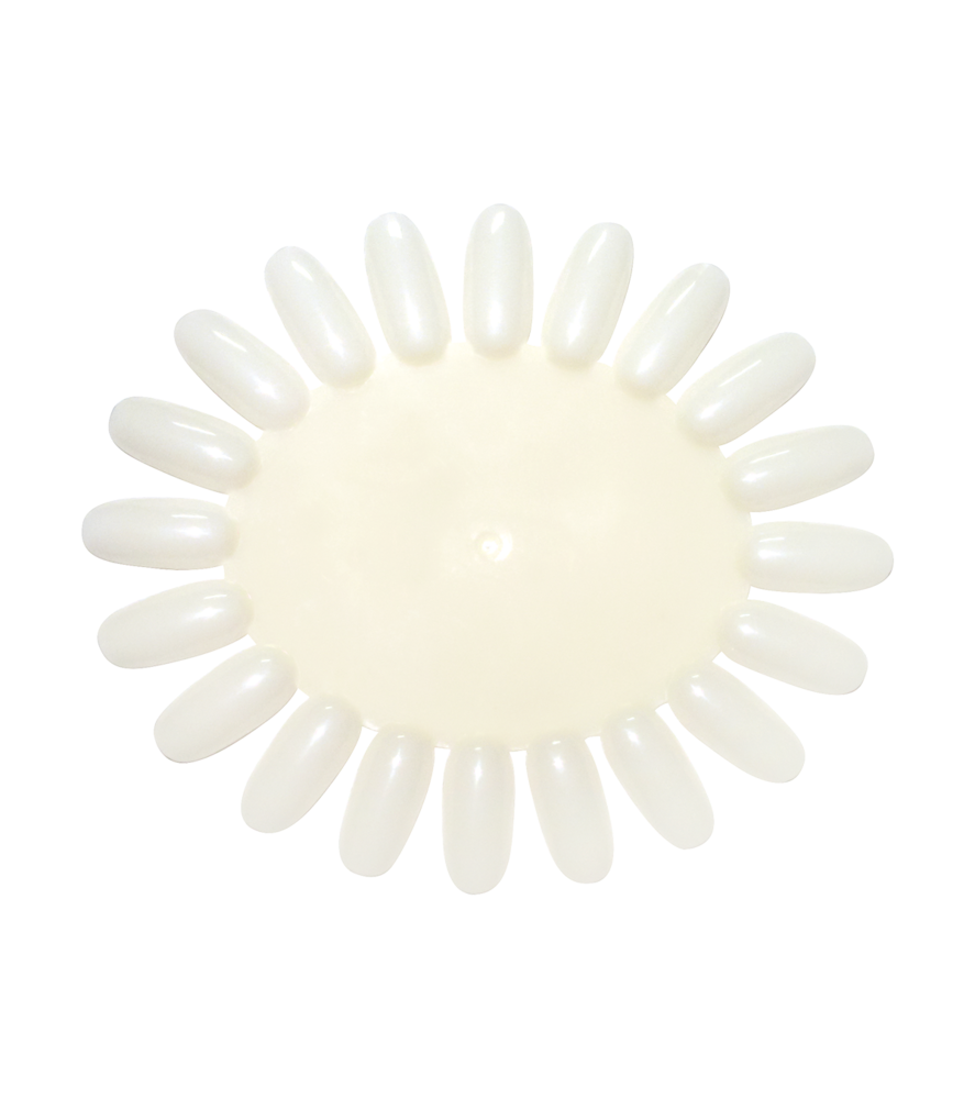 1781-EXPOSITOR-DE-CORES-OVAL-20-UNIDADES EXPOSITOR DE CORES OVAL 20 UNIDADES