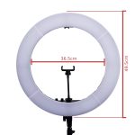 ANEL LED RING LIGHT