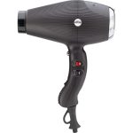 SECADOR GAMMAPIU ARIA DUAL IONIC 2250W