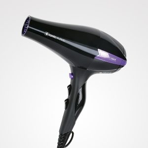 Secador Profissional Ionic R-3900 2000W