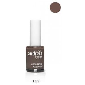 Andreia Verniz 10.5ml 113
