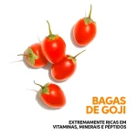 Wella Invigo Nutri-Enrich Shampoo Hidratação Profunda 500ml - Image 4