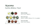 Creme Acetinado Hidratante Corporal Açucena 200g - Avatim - Image 2
