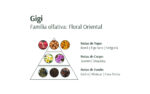 Óleo de Banho Gigi 210ml - Avatim - Image 2